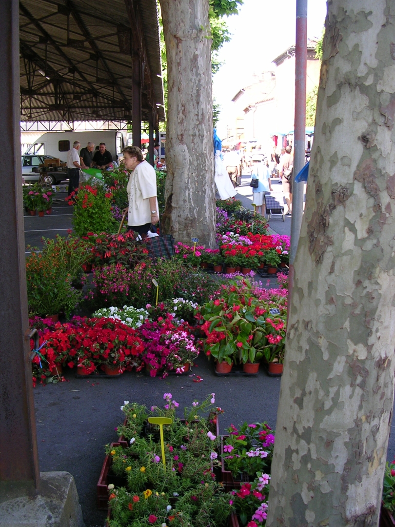 Traditionele markt in Réalmont – Réalmont · Zentrum